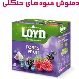 تصویر دمنوش میوه‌های جنگلی لوید LOYD 