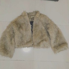 تصویر کراپ کت خز 