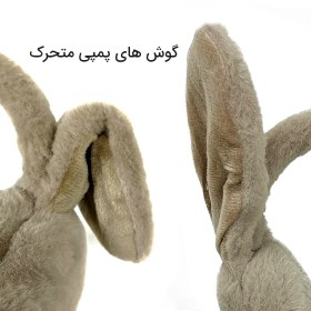 تصویر گوش گیر پمپی ساده 