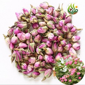 تصویر غنچه گل محمدی خوش رنگ ظرافت 100 گرمی 