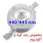 تصویر پاور LED آبی رویال 445nm دو چیپ 1W-3W Epistar 