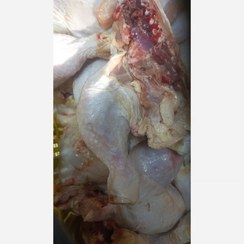 تصویر ران مرغ 