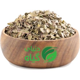 تصویر برگ آویشن شیزاری 