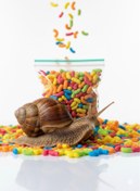 تصویر پفک حلزون 