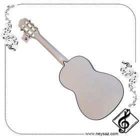 تصویر گیتار مارک دیاموند 