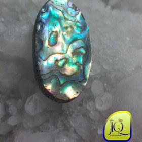 تصویر نگین صدف آبالون 