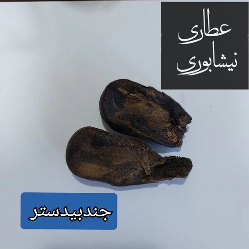 خرید و قیمت جند بیدستر 50 گرمی | ترب