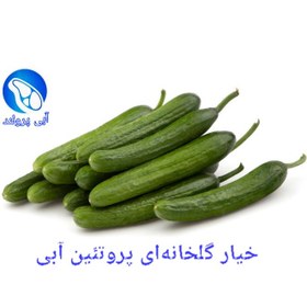 تصویر خیار گلخانه ای VIP 