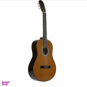 تصویر گیتار فرد مدل پارسی 