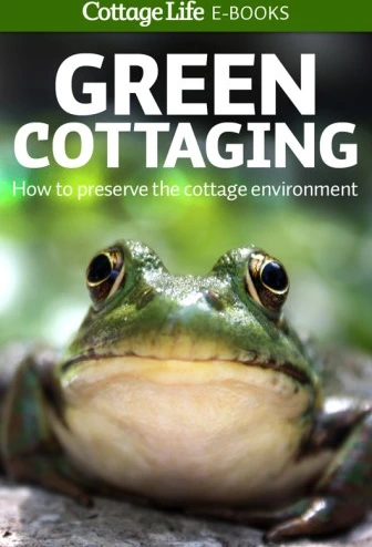 خرید و قیمت دانلود کتاب Green cottaging: how to preserve the cottage ...