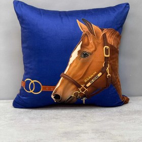 تصویر کوسن هرمس آبی 