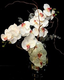 تصویر گل ارکیده وارداتی کد OR-02 