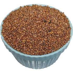 تصویر تخم تربچه 