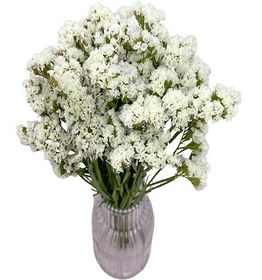 تصویر گل خشک زنبوری 