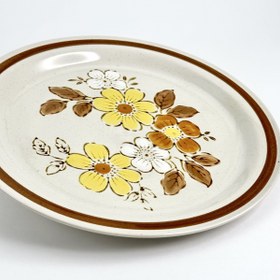 تصویر پلیت وایلد وود 