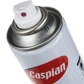 تصویر اسپری شیشه مات کن Caspian 300ml ا Caspian 300ml Mattifying glass Spray Caspian 300ml Mattifying glass Spray
