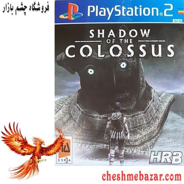 Jogo Shadow of the Colossus - PS2 - MeuGameUsado