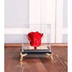 تصویر خرید عمده گل رز جاودان a1075 