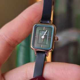 تصویر دنیل مینی سبز چرم 