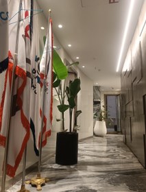 تصویر نخل نیکولای 