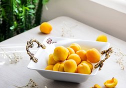 تصویر میوه خوری دسته دار چینی مویلار کد ۱۰۶ 