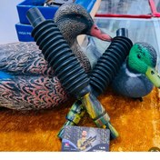 تصویر سوت تلمبه ای اردک 