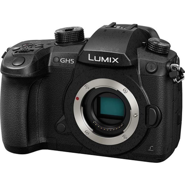 Lumix gh5 store