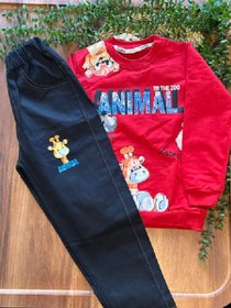 تصویر ست بلوز شلوار animal 