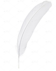 تصویر عکس با کیفیت پر 