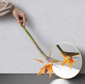 تصویر کربن جلد یک-10032 