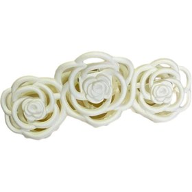 تصویر کلیپس روزانه گل رز شمعی 