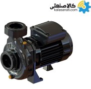 تصویر پمپ آب خانگی نوید موتور مدل CS100/2 ظرفیت ۱ اسب تک فاز 