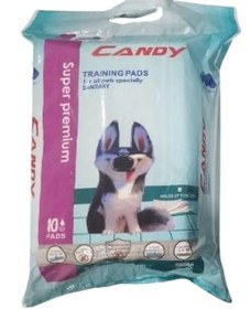 تصویر پد یک بار مصرف بسته ای 5 عددی 