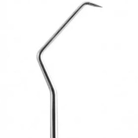 تصویر سوند دو سر 