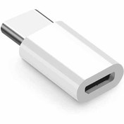 تصویر تبدیل Micro USB به TYPE-C پی نت 