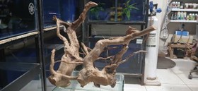 تصویر ریشه آبنوس کد 03 