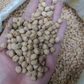 تصویر نخود nakhod