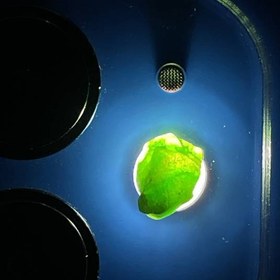 تصویر راف جواهری دمانتوئید k394 