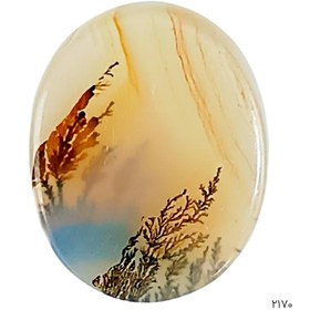 تصویر نگین شجر منظره دار خاص و کلکسیونی - کد 2170 