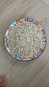 تصویر لوبیا سفید 