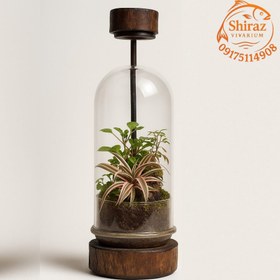 تصویر تراریوم مدل T513 