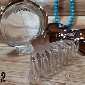 تصویر کلیپس کائوچویی 