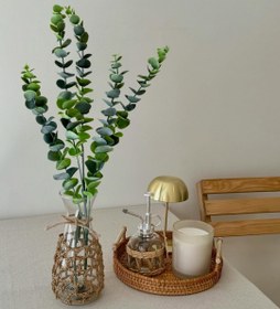 تصویر شاخه اکالیپتوس وارداتی 