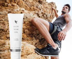 تصویر ژل ام اس ام فوراور (کرم مفصل ساز و ضد جوش) | Aloe MSM Gel ضد جوش و منافذ باز مناسب برای انواع پوست ترمیم کننده مدل ژل ام اس ام فوراور (کرم مفصل ساز و ضد جوش) | Aloe MSM Gel ۱۱۸ میلی لیتر متفرقه