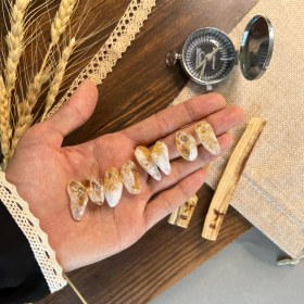 تصویر سنگ تامبلر سیترین (tbrcit002) 