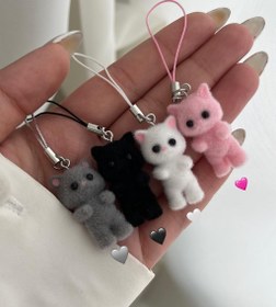 تصویر فون چارمای گربه 