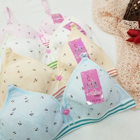 تصویر سوتین نوجوان تایلندی 