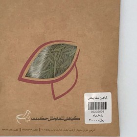 تصویر رزماری 