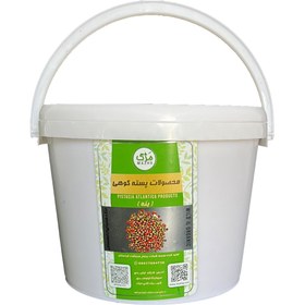 تصویر کره مغز بنه 3 کیلویی 