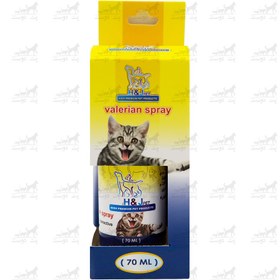 تصویر اسپری کت نیپ گربه اچ اند جی 70 میلی گرم H&J Catnip Spray for cat 70 ml